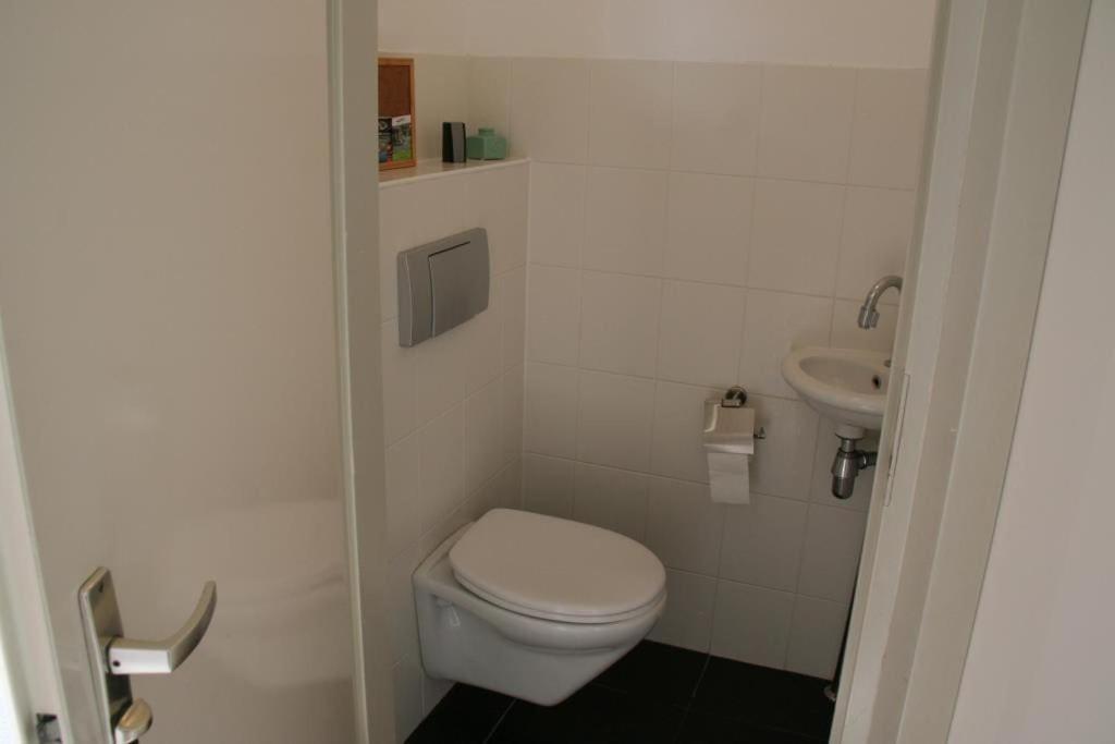 Liguster 90* Nieuwvliet